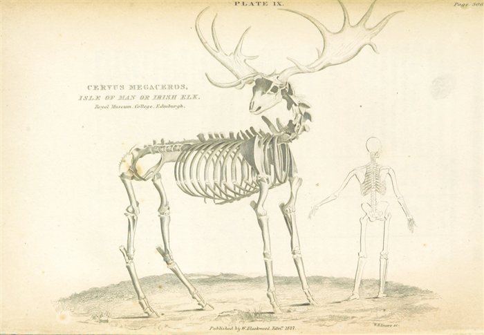 Hell Creek cover art